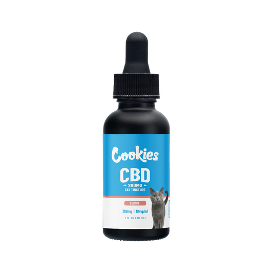 CBD Pet Tincture 30ml 300mg - Salmon for Cats